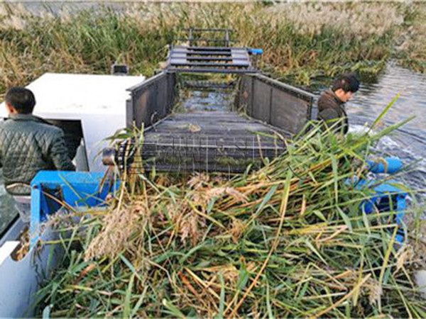 技術師和收割船